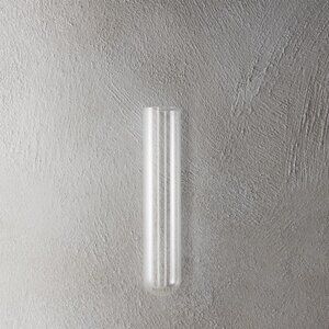 Lot of 3 CB2 Beaker Glass Tube Wall Vase